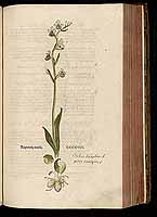  no thumbnail available