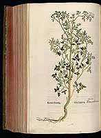  no thumbnail available