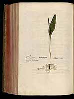  no thumbnail available