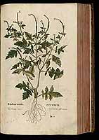  no thumbnail available