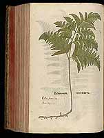  no thumbnail available