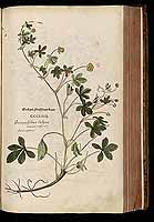  no thumbnail available