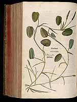  no thumbnail available