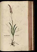  no thumbnail available