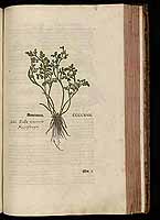  no thumbnail available