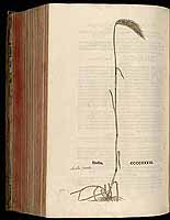  no thumbnail available