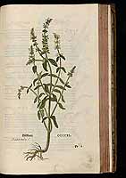  no thumbnail available