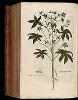  no thumbnail available