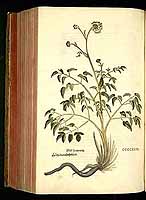  no thumbnail available