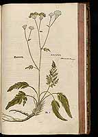  no thumbnail available