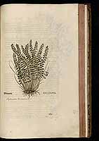  no thumbnail available