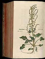  no thumbnail available