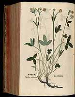  no thumbnail available