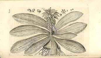  no thumbnail available