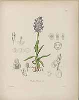  no thumbnail available