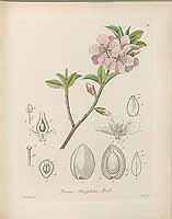  no thumbnail available