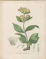  no thumbnail available