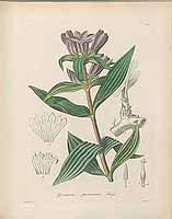  no thumbnail available