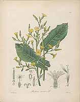  no thumbnail available