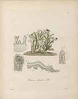  no thumbnail available