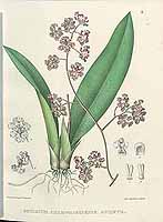  no thumbnail available