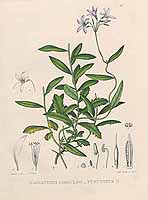  no thumbnail available