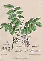  no thumbnail available