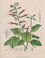  no thumbnail available