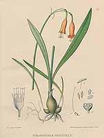  no thumbnail available