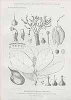  no thumbnail available