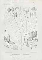  no thumbnail available