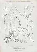  no thumbnail available