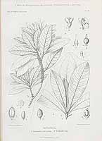  no thumbnail available