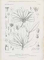  no thumbnail available