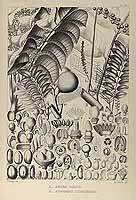  no thumbnail available