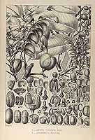  no thumbnail available