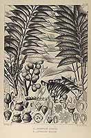  no thumbnail available