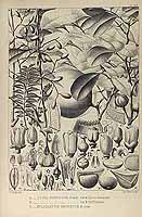  no thumbnail available