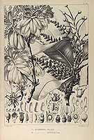  no thumbnail available