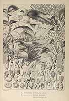  no thumbnail available