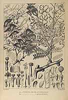  no thumbnail available