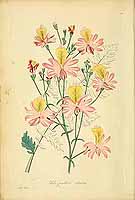  no thumbnail available