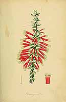  no thumbnail available