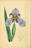  no thumbnail available