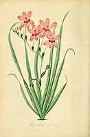  no thumbnail available