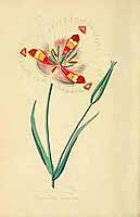  no thumbnail available