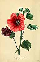  no thumbnail available