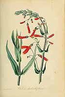  no thumbnail available