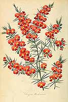  no thumbnail available