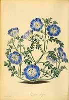  no thumbnail available